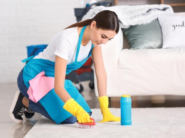 Professional Cleaning Experts