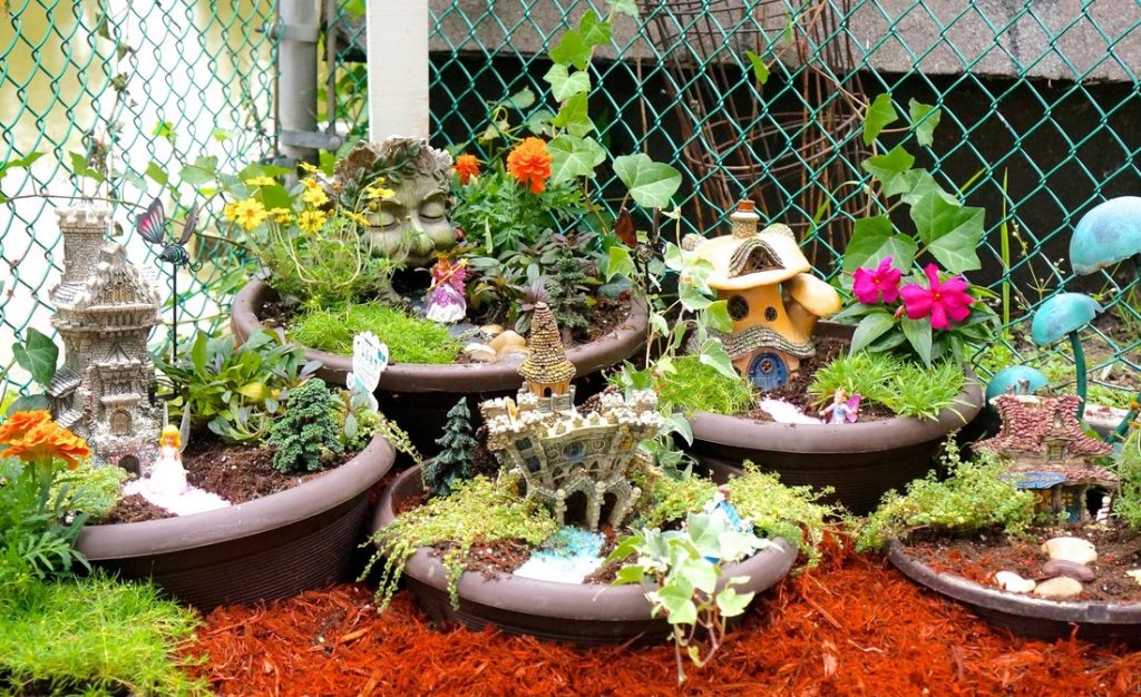 Elevate Your Garden Aesthetics 